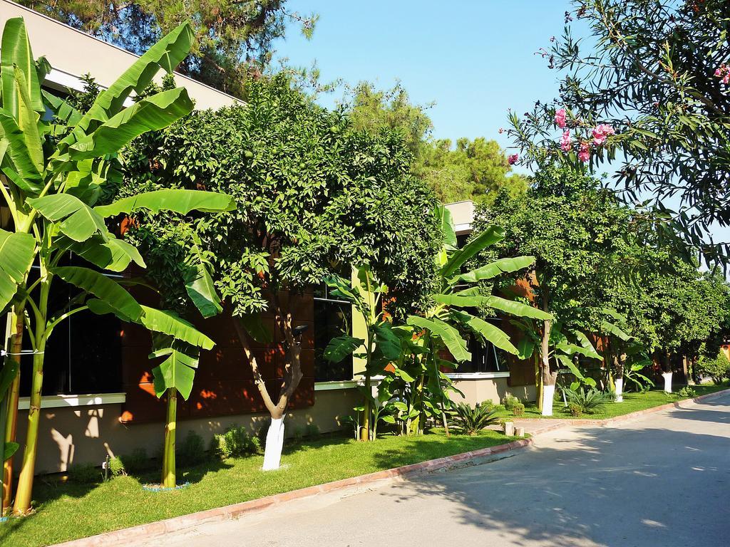 Cetinel Otel อาดานา ภายนอก รูปภาพ